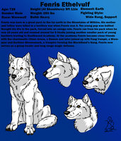 Fenris Character Sheet by Killerwolf1020 - wolf, male, werewolf, character sheet, fenris, once bitten