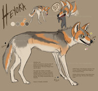Heyoka Reference v2 by LostWolfSpirit - male, canine, coyote, feral, model, character, sheet, canid, reference, quad, quadruped, arachnid, heyoka, lostwolfspirit, minnowfish