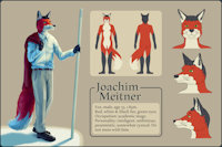 Joachim Meitner by Dahtamnay - fox, male, anthro, digital, character, ref, vulpine, reference, joachim, meitner, joachim meitner