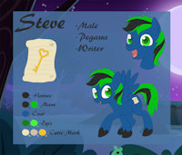 Steve Reference by AngelCandy92 - male, reference sheet, horse, equine, pony, sheet, reference, my little pony, mlp, pegasus, pegasus pony, angelcandy92