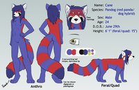Cane ref sheet by Pandog - red, male, mix, hybrid, panda, blue, doh, pandog
