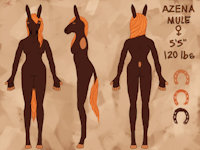 Azena Mule Ref Sheet by NoirSaberCat - female, hybrid, reference sheet, horse, character sheet, donkey, character, mule