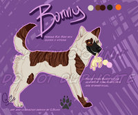 Bunny Reference by LostWolfSpirit - dog, female, mix, border collie, canine, feral, model, character, sheet, collie, canid, mutt, kai, reference, border, quad, quadruped, mixed breed, arachnid, ken, breed, mixed, lostwolfspirit, minnowfish, kai ken