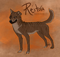 Reitora Reference by LostWolfSpirit - dog, female, mix, border collie, canine, feral, model, character, sheet, collie, canid, mutt, kai, reference, border, quad, quadruped, mixed breed, arachnid, ken, breed, mixed, lostwolfspirit, minnowfish, kai ken