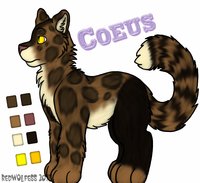 Coeus reference by Reddywolf - female, leopard, clouded