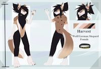 Harvest ref sheet by Echowolfc - female, reference sheet, fur, furry, reference, echowolfc