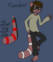 Xander ref by helix86 - raccoon, male, anthro, sona