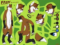 Fayk Reference by FaykFox - reference sheet, collar, red fox, male/solo