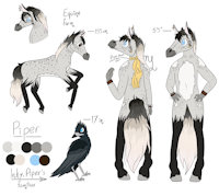 Piper Character Sheet by PiperLikesApricots - horse, equine, character sheet, nonbinary