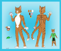 Tenyo Cat Ref Sheet by DualSwordsmanTenyo - cub, feline, male, mouse, toy, reference, tenyo cat