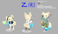 Ziri| Character preferance by Sekyno - male, canine, character sheet, furry, robot, character development