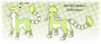 Matrix Reference by NVI2019 - feline, female, taur