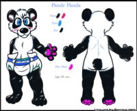 Pandr Panda reference sheet by Pandr - pandr-panda