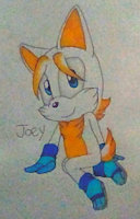 Joey the Husky by SonicAnon - dog, husky, male, sonic, sonic the hedgehog, sonic oc
