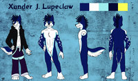 Main Fursona Character Ref Sheet by XanderJL - husky, wolf, male, hybrid, male solo, wolfsky