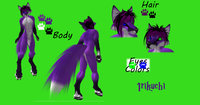 Irikuchi Clean by Irikuchi - fox, male, purple, reference sheet, ref sheet, reference, purple fox, refsheet, purple hair