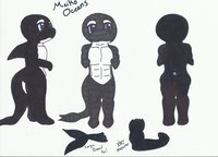 Meiko character sheet by Meikooceans - male, orca