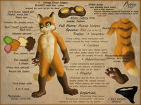 Ausup`s Reference Sheet by Ausup - fox, male, character, sheet, reference