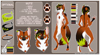 ref sheets by Hutz - male, reference sheet, dhole, refsheet, rothund