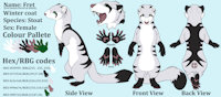 Fret Ref sheet (Ermine) by FrickenStoat - female, feral, stoat, weasel, winter, fret