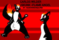 Carlos Wilder Angel Flame by naokikirishima - male, skunk, sheet, oc, refference