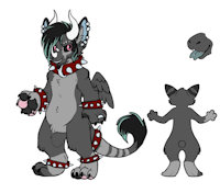 [OPEN] Adopt for Sale: Punk Dutchie [Trauma Designs] by ToiletTrauma - dragon, ring, collar, grey, stripes, wings, hair, character, horns, open, ref, digitigrade, reference, spikes, earrings, red eyes, black hair, nose, adoptable, adopt, for sale, masculine, forked tongue, unspecific/any, black sclera, feathered wings, spiked collar, character for sale, adoptable for sale, spiked bracelet, dutch angel dragon, adopt for sale, frosted tips