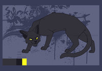 Synkah Reference by LostWolfSpirit - cat, feline, male, feral, black, model, character, sheet, evil, reference, quad, quadruped, arachnid, black cat, lostwolfspirit, minnowfish, synkah