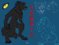 Varric Lonewolf Character Sheet by Blacktiger - wolf, male, canine