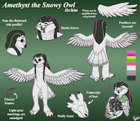 Amethyst by AaronAmethyst - bird, avian, owl, amethyst, mal, snowy owl