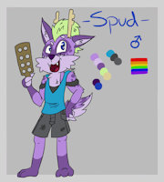 Spud by DetectiveCoon1 - raccoon, male, reference sheet, paddle, ref