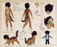 Garrett Reference Sheet by KaiSkelyx - dog, male, reference sheet, canine, oc, mutt, reference, original character, referencesheet, personal, originalcharacter