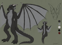 Drax refsheet by TlaiLaxu - dragon, male, western dragon