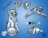 Feral ref sheet by Stormy - male, tiger