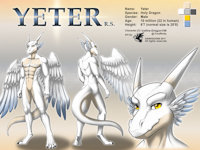 ref472/ Reference: Yeter (V2 still SFW) by darkgoose - dragon, male, commission, sheet, ref, darkgoose, reference, scalies, sfw, rs