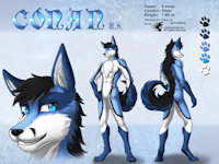 ref476/ Reference: Conan by darkgoose - male, commission, sheet, ref, canid, darkgoose, reference, sfw, rs