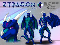 ref475/ Reference:ZTragon (V1 SFW) by darkgoose - dragon, male, commission, sheet, ref, darkgoose, reference, scalies, sfw, rs