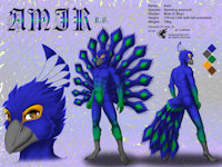 ref479/ Reference: Amir by darkgoose - male, commission, bird, avian, sheet, ref, darkgoose, peacock, reference, sfw, rs