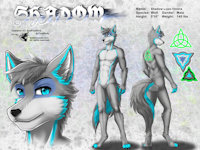 ref493/ Reference: Shadow (V1 SFW) by darkgoose - wolf, male, commission, sheet, ref, canid, darkgoose, reference, sfw, rs