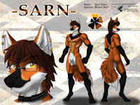 ref498/ Reference: Sarn (V1 SFW) by darkgoose - wolf, male, commission, sheet, ref, canid, darkgoose, reference, sfw, rs