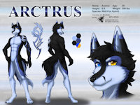 darkgoose ref499/ Reference: Arctrus (V1 SFW) by darkgoose - fox, wolf, male, commission, hybrid, sheet, ref, canid, darkgoose, reference, sfw, rs