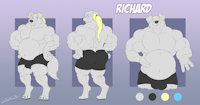 Richard Reference by Ziude - dog, cute, butt, male, belly, silver, muscle, tail, bulge, smile, pony, sheet, musclegut, reference, labrador, retriever, gut