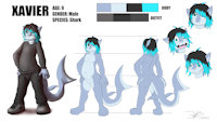 Xavier reference sheet by XavierSharkie - cub, shota, male, reference sheet, shark, dyed hair