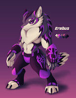 OC: Erebus by JoVeeAl - wolf, male, gloves, pants, reference sheet, canine, lupine, character sheet, original, anthro, claws, illustration, markings, furry, oc, clothing, purple eyes, digital art, original character, character reference, simple background, character design, color palette, gray fur, ear fluff