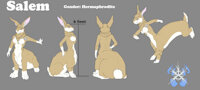 Salem Ref sheet 2017 - General version by rabbitdude - herm, hermaphrodite, taur, ref, reference, (general), artwork (digital), rabbittaur, salem adams kusanaga