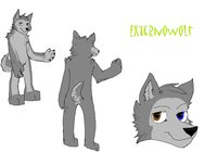 Externowolf ref sheet! WOO!!!! =D by externowolf - wolf, male, ref sheet, awesome!