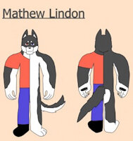 New Matthew Ref by FartgodAnubis - dog, husky, male, canine, sheet, ref, reference, matthew, portraits, artwork (digital)