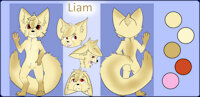 Liam Reference Sheet by LittleLiam - fox, male, reference sheet, fennec fox