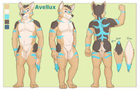 Avellux Ref Sheet by Gebji - male, reference sheet, tiger, coyote, stripes