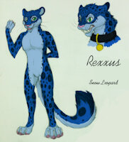 2nd reference sheet by agentrex - snow leopard, male, reference sheet, collar, rexxus, agentrex