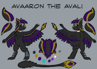[Commission] Avaaron the Avali Reff Sheet by Lionclaw - male, commission, reference sheet, reference, avali